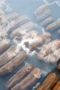 Sun-dried banana in solar dryers at sunny day. Abstract reflection of sunbeam with clouds on solarÃ¢â¬â¢s glass. Sun-dried banana is